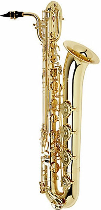 good saxophone on rent lakshadweep