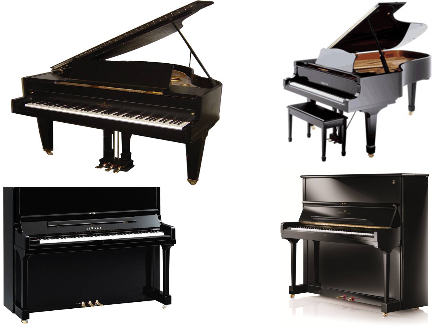 Grand Piano on rent in Lakshadweep